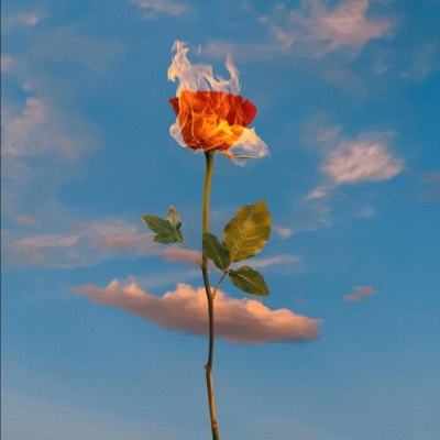 江南足球appapp下载截图